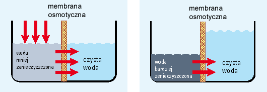Jak działa osmoza odwrócona